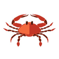 Rak Nedeljni horoskop